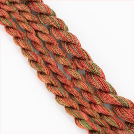 Colour 192 Colour Complements Variegated rust, brown, and green embroidery threads, Colour #192